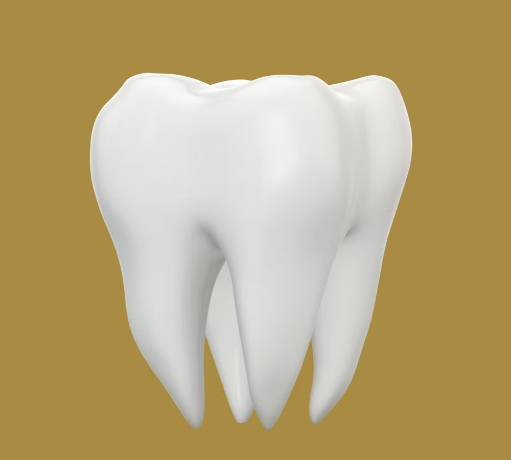 custom mouth guards edmonton